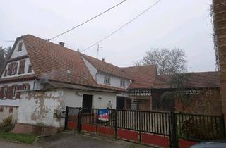 Bauernhaus kaufen in 76889 Klingenmünster, Klingenmünster - Haus bauernhaus mit garten