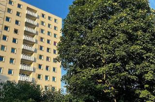 Wohnung kaufen in 33098 Paderborn, Paderborn - Renovierte ETW in PB 198.000 ?, bis zu 6 % Rendite, NRW-Förderung