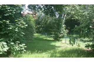 Reihenhaus kaufen in 48167 Münster, Münster - Gepflegtes Britenhaus mit Garten in Münster-Gremmendorf