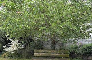 Haus kaufen in 75417 Mühlacker, Mühlacker - Charmantes, 2-Fam.-Haus inkl. Einliegerwhg *freistehend* VIEL PLATZ FÜR FAMILIEN -o. Provision-