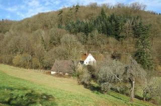 Haus kaufen in 69436 Schönbrunn, Schönbrunn - Ehem. Mühlenanwesen mit eigener Quelle