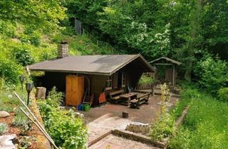 Haus kaufen in 32676 Lügde, Lügde - Wildromantische Hütte bei Lügde - Naturrefugium zum Erholen