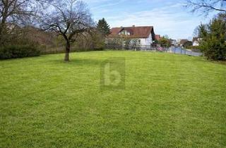 Grundstück zu kaufen in 96155 Buttenheim, Buttenheim - EXKLUSIVER RAUM MIT POTENZIAL