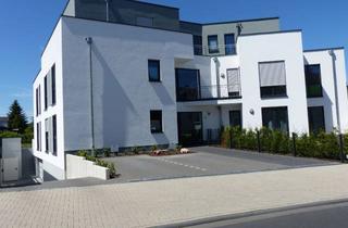 Wohnung mieten in Marktstr. 97, 53229 Holzlar, (02) Sehr schöne, helle 2-Zi-Whg mit großer Terrasse, BN-Bechlinghoven, NK minimiert