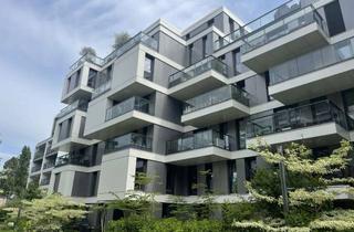 Penthouse mieten in Chausseestrasse 58E, 10115 Mitte, Über Berlins Dächer I Penthouse in Downtown Berlin I Besser mieten geht nicht!