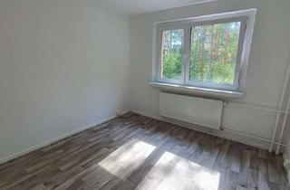 Wohnung mieten in Pilzheide 14, 15926 Heideblick, Erstbezug nach Sanierung! 3 Zi.Whg. mit Balkon in Walddrehna
