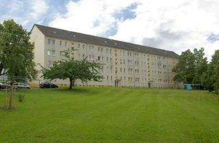 Wohnung mieten in Bernhard-Lichtenberg-Weg 12, 08529 Plauen, Gemütliche 2-Zimmer-Oase – Ruhig gelegen & top angebunden