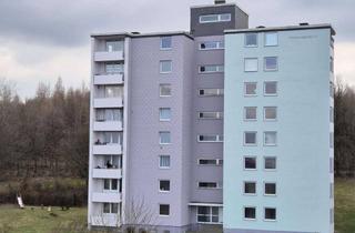 Wohnung mieten in Tilsiter Straße, 57223 Kreuztal, Gemütliche 2-Zimmer Wohnung am Waldrand