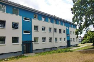 Wohnung mieten in Am Dornbusch/Birkenallee 1/20-54, 34225 Baunatal, renovierte 3-ZKBs im grünen Baunatal