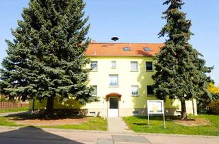 Wohnung mieten in Walther-Rathenau-Straße 12,14, 06242 Braunsbedra, Willkommen im Geiseltal - 2-Raum-Wohnung in Krumpa