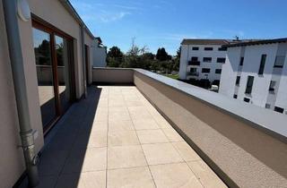 Penthouse mieten in 63073 Bieber, OF-BIEBER: Fast ein echtes 2 Zi. Penthouse - Große Sonnenterrasse - Kleines Haus