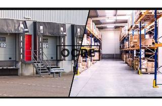 Büro zu mieten in 63505 Langenselbold, Vielseitig nutzbare Gewerbefläche mit Büro – Flughafen in Reichweite!