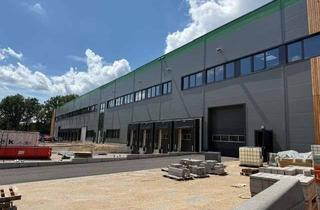 Gewerbeimmobilie mieten in 22844 Norderstedt, moderne Lager- / Logistikflächen