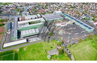 Büro zu mieten in 63571 Gelnhausen, KRAN 24 t ✓ TRAFO 3.400 kVA ✓ Lager/Produktion (22.000 m²) & Büro (1.800 m²) & Freilager (15.000 m²)