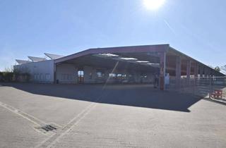 Gewerbeimmobilie mieten in 46348 Raesfeld, *Idealer Standort für Produktion & Gewerbe* - funktionale Halle zur Anmietung in Raesfeld-Erle