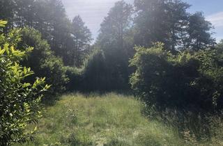 Grundstück zu kaufen in 28857 Syke, Attraktives Baugrundstück mit Blick ins Naturschutzgebiet