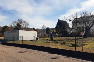 Grundstück zu kaufen in 74232 Abstatt, Vielseitig bebaubares Baugrundstück in ruhiger Lage von Abstatt