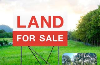 Grundstück zu kaufen in 38536 Meinersen, Großzügiges, bauträgerfreies Grundstück mit ca. 1.166 m2 in Waldrandlage bei Ohof/Meinersen!