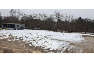 Grundstück zu kaufen in 15806 Zossen, 15806 Zossen/OT Wünsdorf: Baufreies Grundstück für eine Stadtvilla