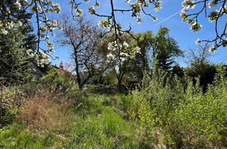 Grundstück zu kaufen in 12623 Mahlsdorf, Baugrundstück in Berlin-Mahlsdorf - fußläufig zur S-Bahn, Südausrichtung
