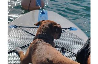 Grundstück zu kaufen in Seefelder Strasse, 82211 Herrsching, SELTENHEIT- kleine Gundstücke in Herrsching