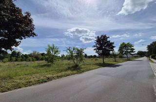 Grundstück zu kaufen in 15926 Luckau, Wohnen im Grünen: Großes und ruhiges Baugrundstück in Luckau