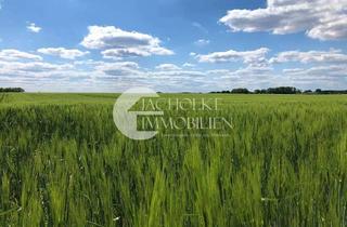 Immobilie kaufen in 29410 Salzwedel, Grünland-Flächenpaket bei Salzwedel – solide Pacht, nachhaltige Perspektive