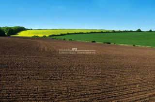 Gewerbeimmobilie kaufen in 85088 Vohburg, Ackerflächen als Investition