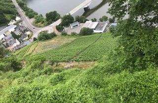 Gewerbeimmobilie kaufen in Zeller Pommerell, 56856 Zell, Weinberg (Ortslage) oberhalb der Zeller Brücke/ Tankstelle zu verkaufen