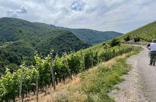 Gewerbeimmobilie kaufen in Zeller Domherrenberg, 56856 Zell, Weinberg (Ortslage) zu verkaufen