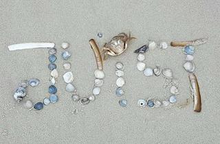 Wohnung kaufen in Wilhelmstraße 53, 26571 Juist, JUIST in zentraler Lage- perfektes, kleines Inselreich!