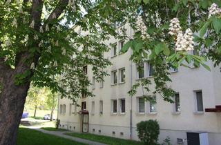 Wohnung mieten in Steinbeckstraße 61, 07552 Gera, Gemütliche Singlewohnung im Grünen