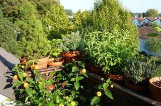 Wohnung kaufen in 63303 Dreieich, 3,5-Zi-DG-Wohnung von Privat, Weitblick, Privatsphäre, ruhige Lage von Dreieich – neue Wärmepumpe!