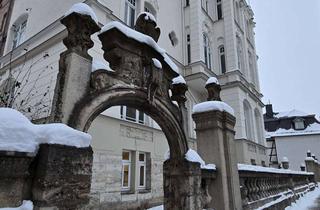 Wohnung kaufen in Wanfrieder Straße 133, 99974 Mühlhausen, Provisionsfrei: Frisch renovierte, großzügige 1-Zimmer-Wohnung (54 m²) inkl. PKW-Stellplatz