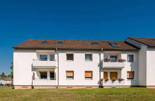 Wohnung mieten in Beckstraße 11, 29223 Celle, Moderne 3-Zimmer-Wohnung mit Balkon und Laminatboden in Celle!