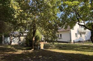 Haus kaufen in Dahlgrund, 29223 Celle, 2 Häuser - 3 Wohneinheiten - 1 Grundstück - 23.000 € Netto-Kaltmiete p.a. (Wohnen & Vermieten)