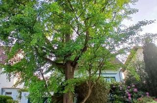 Einfamilienhaus kaufen in 51429 Bergisch Gladbach, Freistehendes Einfamilienhaus mit Charme in familienfreundlicher TOP-Lage!