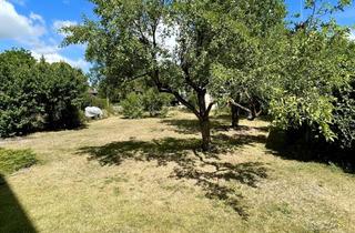 Haus kaufen in 29559 Wrestedt, EFH mit teilbarem Grundstück in Wrestedt/Stederdorf