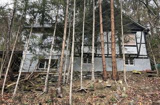 Einfamilienhaus kaufen in Habbecke, 59939 Olsberg, freistehendes Einfamilienhaus in Olsberg Elleringhausen zu verkaufen.