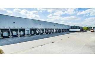 Büro zu mieten in 39245 Gommern, Moderne Logistikhalle mit Büroflächen in direkter Lage zur A14