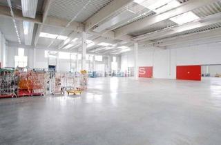 Büro zu mieten in 85276 Pfaffenhofen, Moderne Lagerhalle mit ca. 1.150 m² zzgl. Bürogebäude zu vermieten