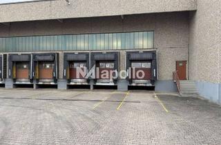 Gewerbeimmobilie mieten in 55450 Langenlonsheim, Sofort verfügbar | ca. 11.000m² große Logistikfläche | Gute Lage - noch besserer Mietzins