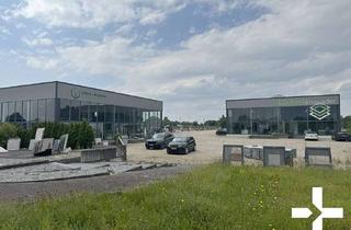 Gewerbeimmobilie mieten in 41334 Nettetal, Lagerung, Ausstellung und Verkauf mit optimaler Präsentation