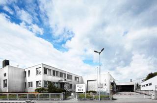 Büro zu mieten in Industriestraße 14-16, 71706 Markgröningen, *PROVISIONSFREI: Lager- und Produktionshallen mit Büroräumen