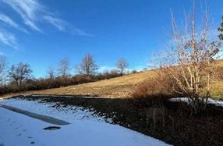 Grundstück zu kaufen in 94034 Hacklberg, Attraktives Baugrundstück mit genehmigtem Doppelhaus-Projekt in Passau-Maierhof