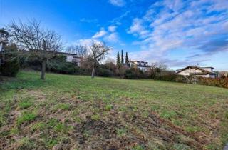 Grundstück zu kaufen in 79539 Lörrach, Grundstück in Lörrach