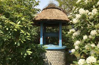 Grundstück zu kaufen in 21357 Barum, Baugrundstück im Ortskern von St. Dionys – sonnig, naturnah, individuell bebaubar