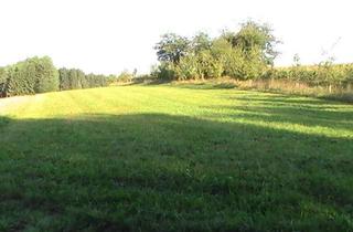 Grundstück zu kaufen in 94265 Patersdorf, a` nett`s Platzerl , SOFORT BEBAUBARES BAUGRUNDSTÜCK