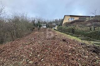 Grundstück zu kaufen in 54470 Lieser, TOP LAGE + PREIS, 2 GRUNDSTÜCKE,EINZELVERKAUF