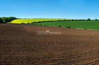 Immobilie kaufen in 85088 Vohburg, Ackerflächen als Investition